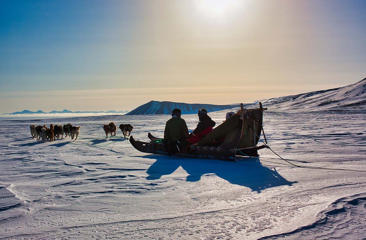 A back view of tourists having a ride on a dog sled in Greenland on a cold winter day