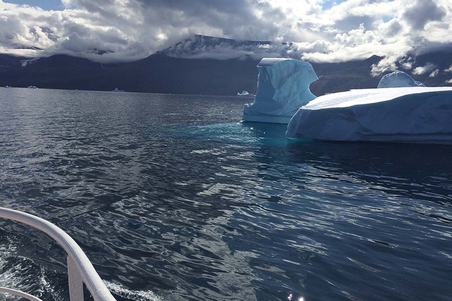 Togo cruising by icebergs 900x600