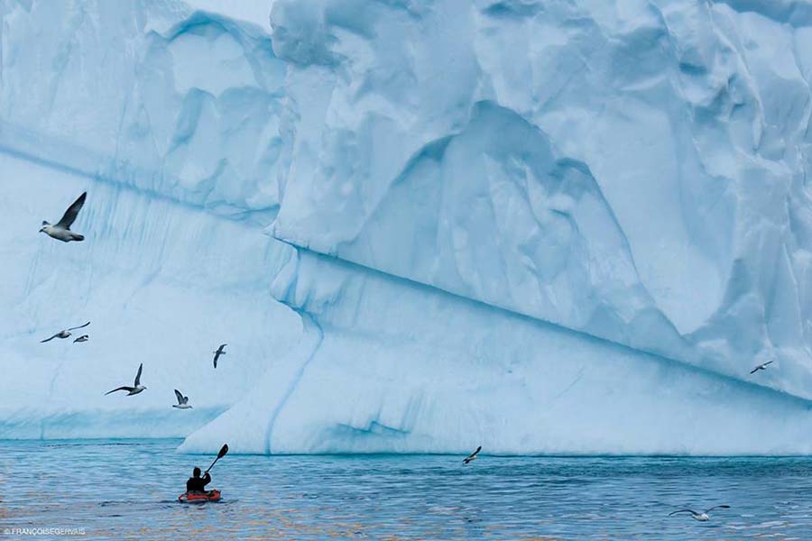 Togo passenger kajaking icebergs 900x600