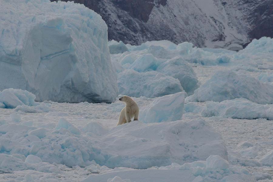 CAPE RACE-Ilulisaat-Sissimiut